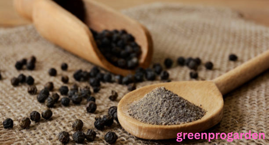 black pepper shortage