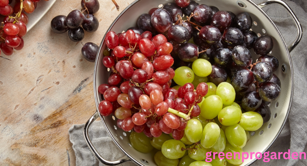 Why Are Grapes So Expensive