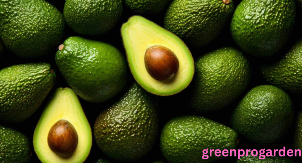 Avocado Shortage
