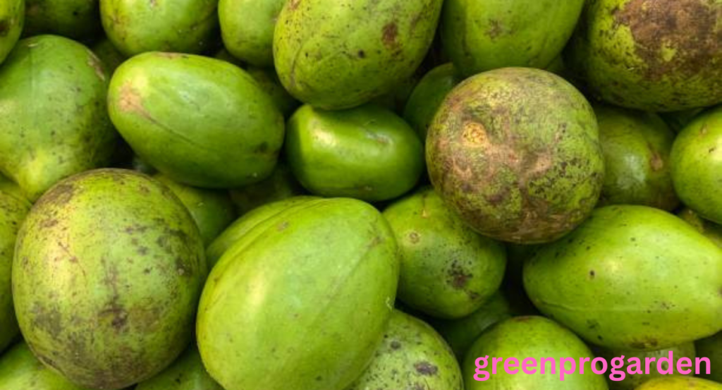 Fruits That Look Like Mango