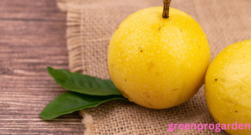 Fruits That Look Like Mango