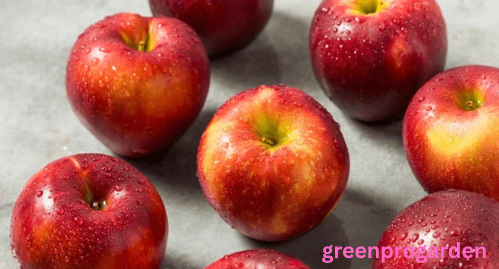 cosmic crisp apple lawsuit

