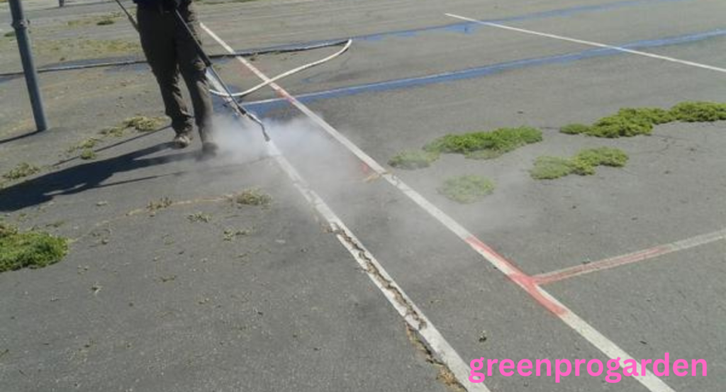 Triclopyr vs Glyphosate