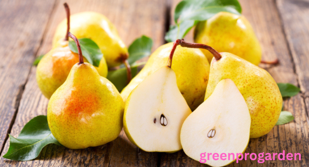 Fruits That Look Like Guava