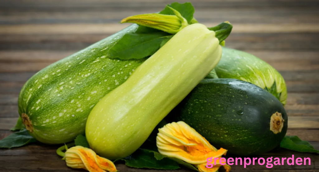 zucchini shortage