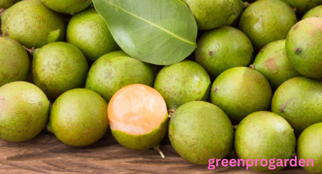 Fruits That Look Like Lychee