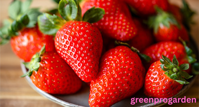 Strawberry shortage