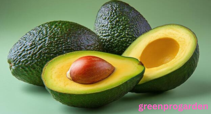 avocado shortage
