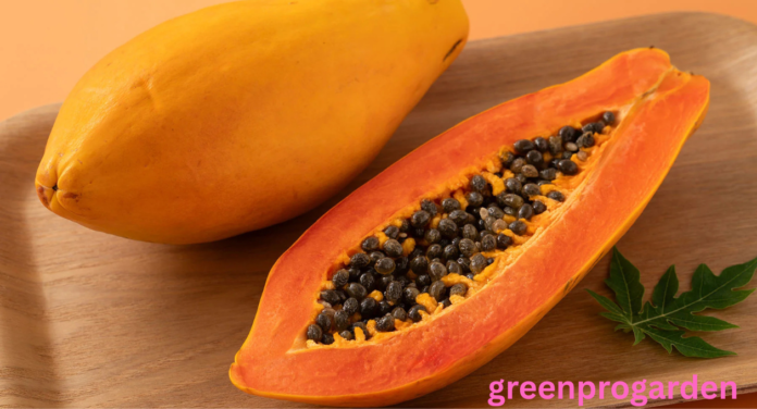 Fruits That Look Like Mango