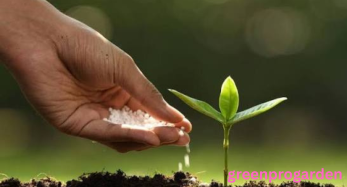 Does Epsom Salt Kill Weeds