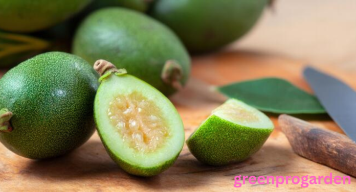 Fruits That Look Like Guava