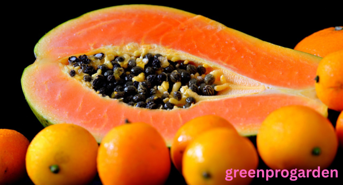 Fruits with Black Seeds